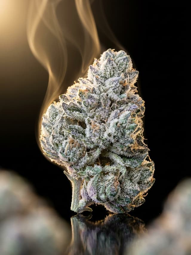 Toad Venom THC-A flower bud